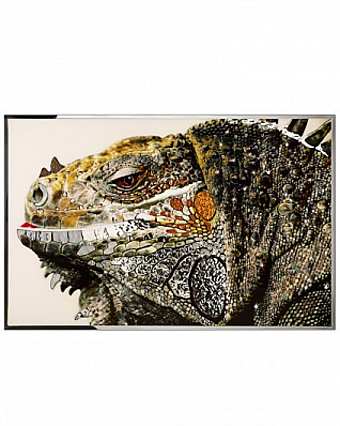 Quadro IGUANA
