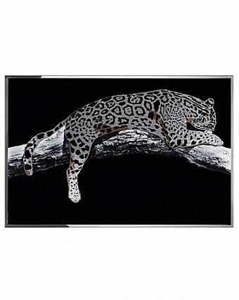 Quadro LEOPARDO