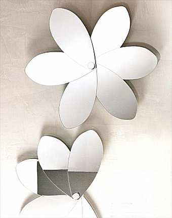 Mirror 5529
