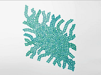 Arazzo in feltro Metamorfosi Morpho PAOLA LENTI