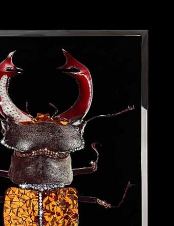 Quadro SCARABEO