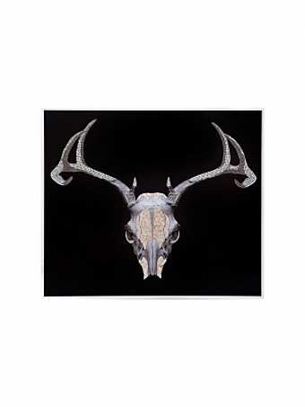 Quadro TROFEO CERVO BIG