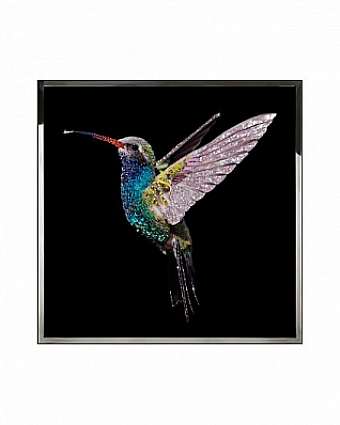 Quadro COLIBRI'BIG
