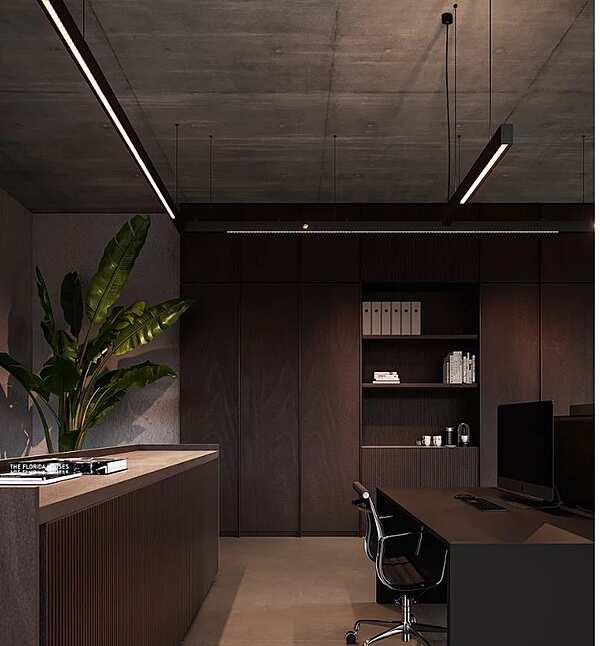 Lampadario DELTALIGHT Omniliner fabbrica DELTALIGHT dall'Italia. Foto №4