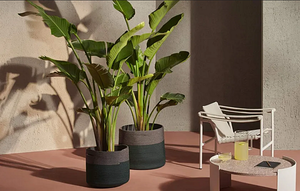 Vaso da pianta in polipropilene basso CASSINA Podor fabbrica CASSINA dall'Italia. Foto №6