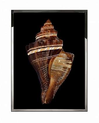 Quadro PUGILINA