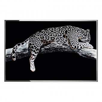 Murale, pittura VISIONNAIRE (Ipe CAVALLI) LEOPARDO fabbrica VISIONNAIRE (IPE CAVALLI) dall'Italia