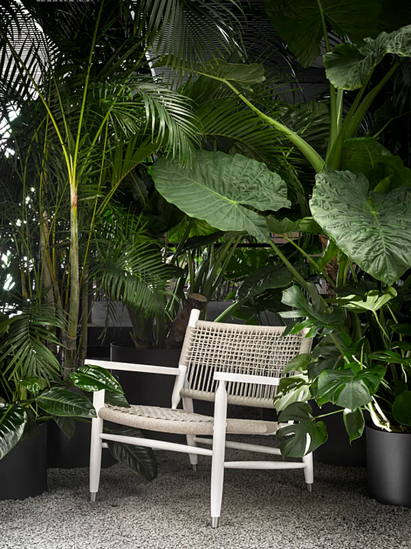 Poltrona con braccioli in materiale outdoor Tessa FLEXFORM fabbrica FLEXFORM dall'Italia. Foto №3