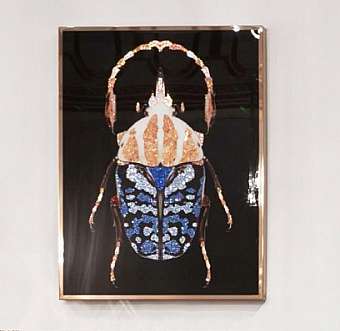 Quadro COLEOTTERO