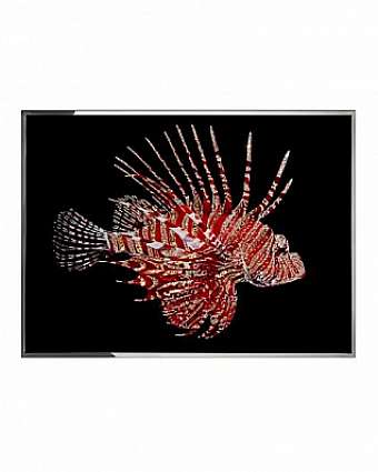 Quadro PESCE SCORPIONE