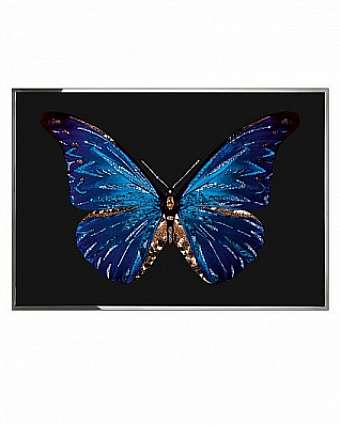 Quadro FARFALLA
