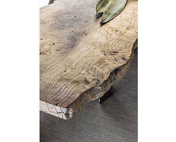 Tavolo rettangolare in briar Bizzotto Italia collezione  fabbrica Bizzotto Italia dall'Italia. Foto №7