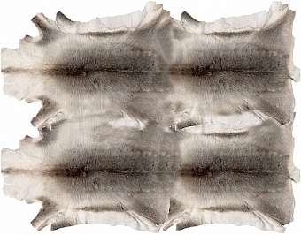 Carpet RUDOLPH