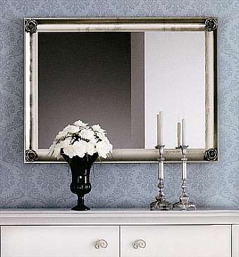Mirror SI50441