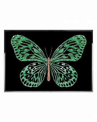 Quadro Green Butterfly