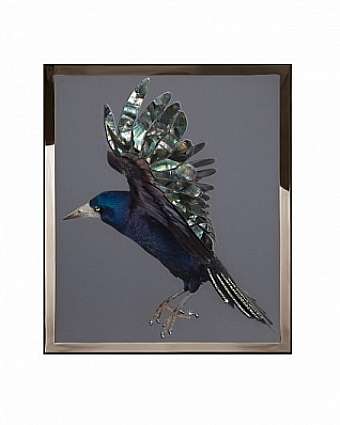 Quadro CORVO