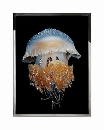 Quadro EURIALE
