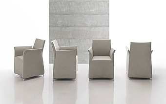 Chair Dhalia