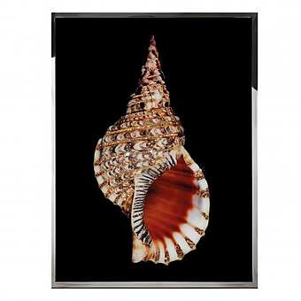 Murale, pittura VISIONNAIRE (Ipe CAVALLI) TRITONIS fabbrica VISIONNAIRE (IPE CAVALLI) dall'Italia