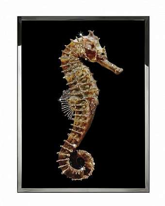Quadro HIPPOCAMPUS