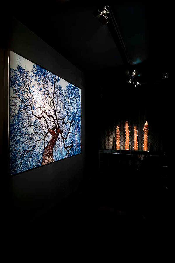 Murale, pittura VISIONNAIRE (Ipe CAVALLI) Tree Of Dreams