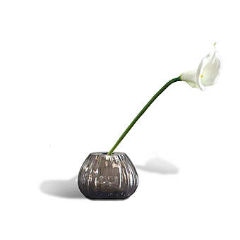 Vaso Naomi