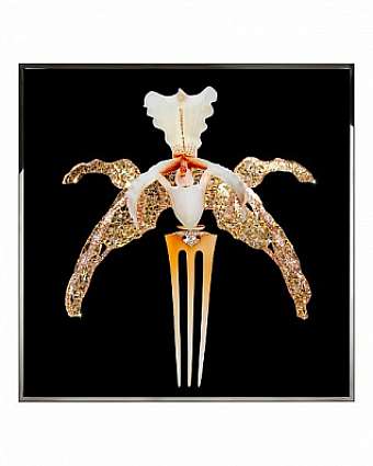 Quadro Orchidea Lalique